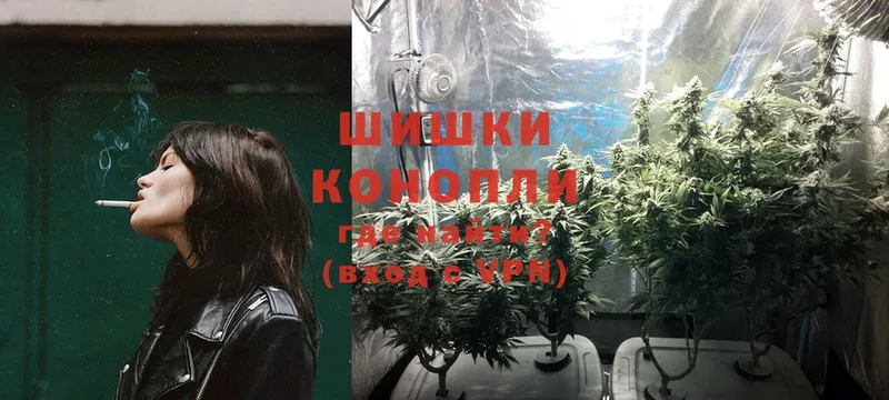 хочу   Волосово  Бошки марихуана Ganja 